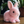 Bunno - Realistic Interactive Bunny Toy
