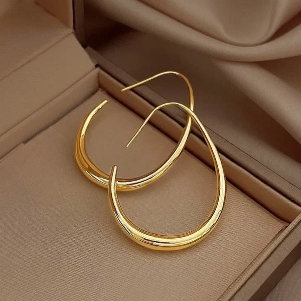 Terra Teardrop Hoop Earrings